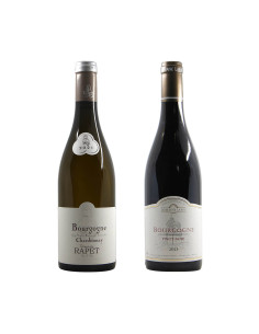 Gevrey Chambertin wine on sale online - Grandi Bottiglie