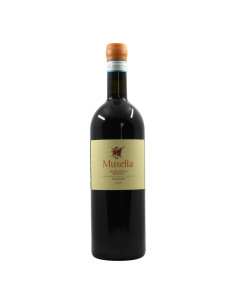 
                                                            Musella Valpolicella Ripasso Superiore 2019 Grandi Bottiglie
                            