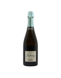 
                                                            Marguet Champagne Ambonnay 2019 Grandi Bottiglie
                            