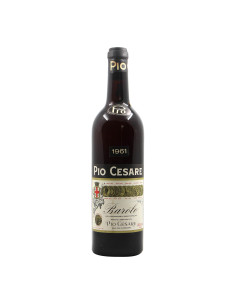 
                                                            Pio Cesare Barolo 1961
                            