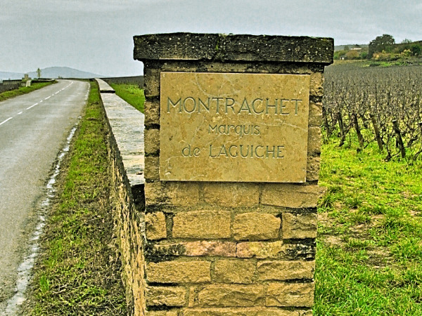 AOC Montrachet- i grandi Chardonnay di Borgogna. 